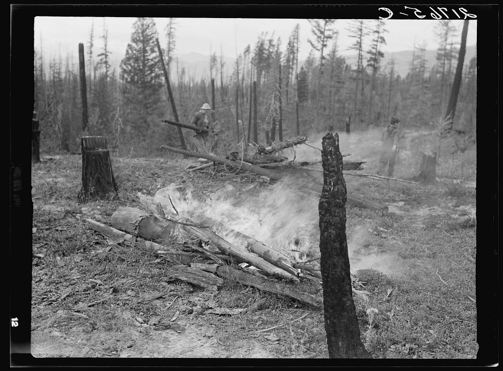Family work, clearing land by burning. Near Bonners Ferry, Boundary County, Idaho. See general caption 49. Sourced from the…