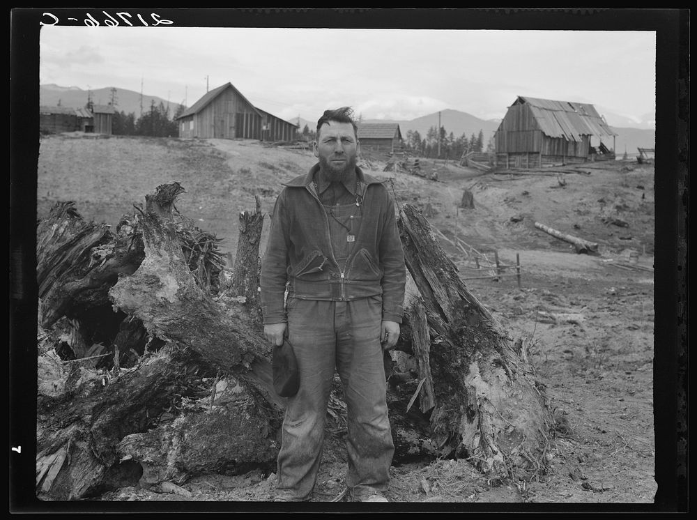 Mennonite farmer, formerly wheat farmer in Kansas, now developing stump ranch in Boundary County, Idaho. See general caption…