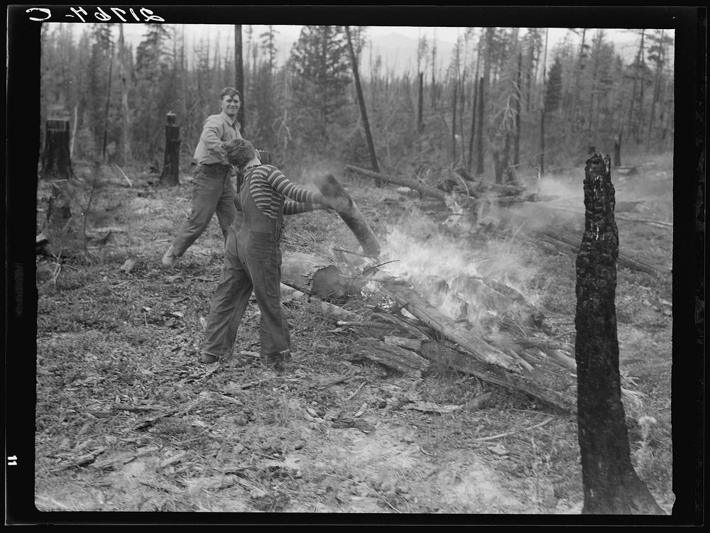 Family work clearing land by burning. Near Bonners Ferry, Boundary County, Idaho. See general caption 49. Sourced from the…