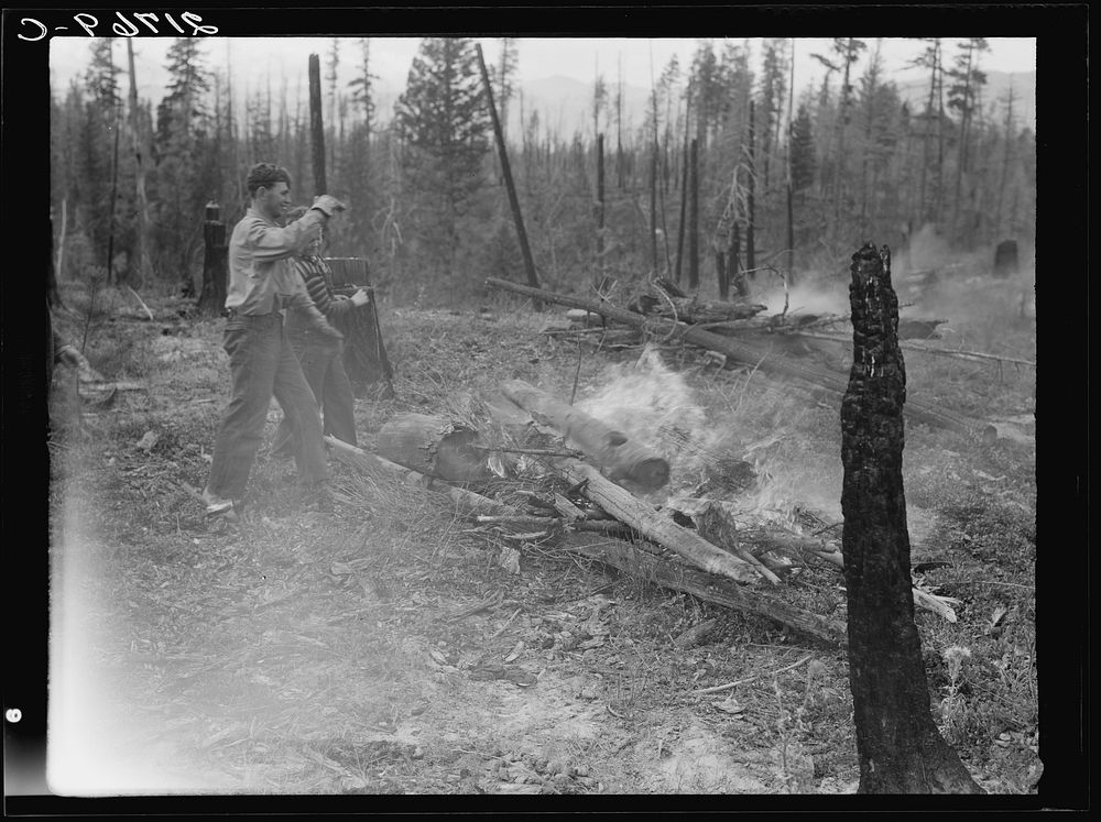 [Untitled photo, possibly related to: Family work clearing land by burning. Near Bonners Ferry, Boundary County, Idaho. See…