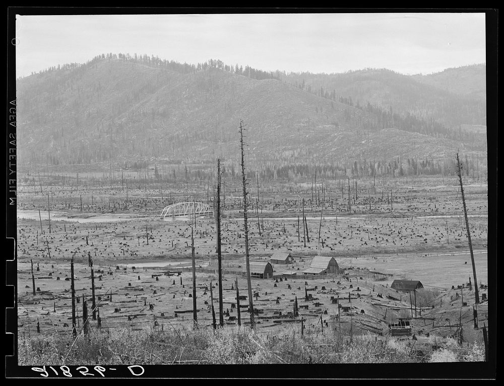 [Untitled photo, possibly related to: The Priest River runs through a stumpy valley where new farms are being established.…