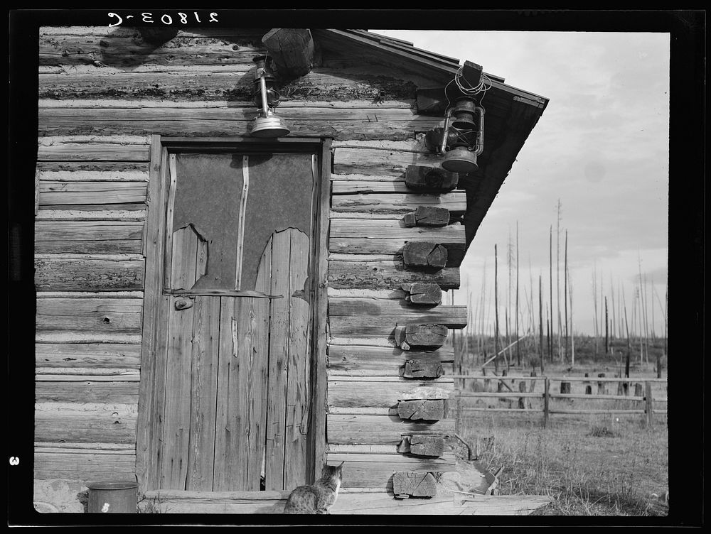 [Untitled photo, possibly related to: Log home. Farm established six years ago. Priest River Peninsula, Bonner County…