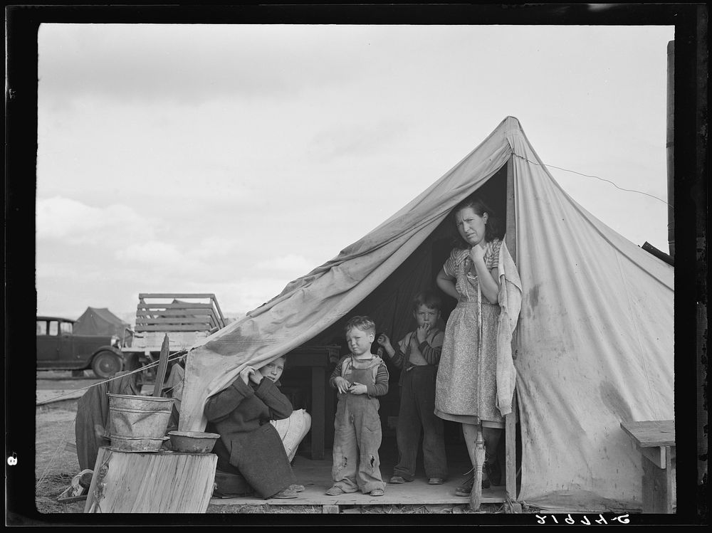 This family came to the potato harvest after the Oregon hop harvest. In FSA (Farm Security Administration) camp unit.…