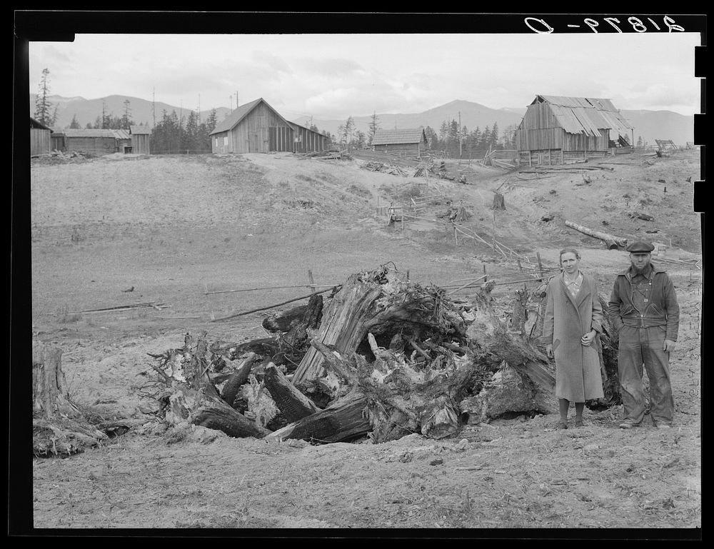 [Untitled photo, possibly related to: The Unruf family, stump pile, and their partly developed farm. Boundary County, Idaho.…