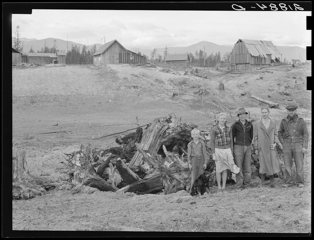 The Unruf family, stump pile, and their partly developed farm. Boundary County, Idaho. See general caption 52. Sourced from…