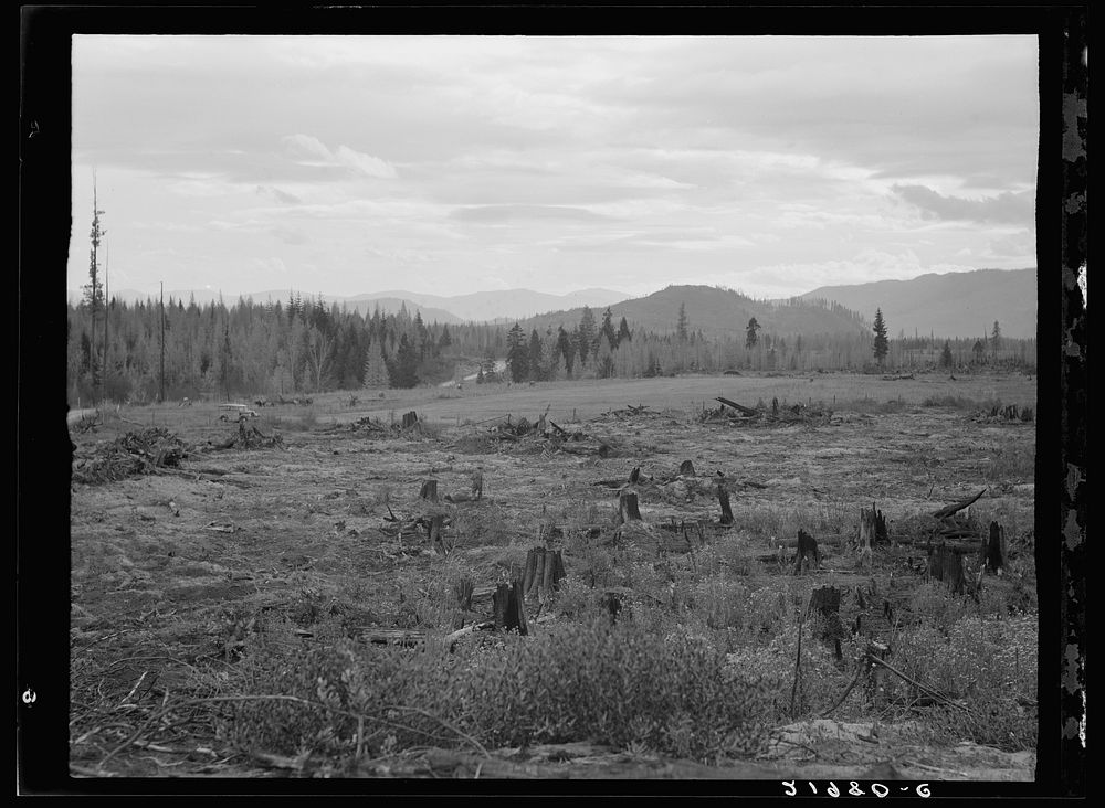 Part of eighty-acre farm showing cleared pasture land and uncleared piece. Bonner County, Idaho. Sourced from the Library of…