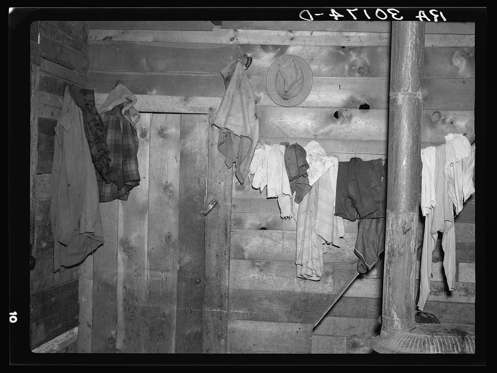 Clothes, and wall interior in Donald Heath's home near Black River Falls, Wisconsin by Russell Lee