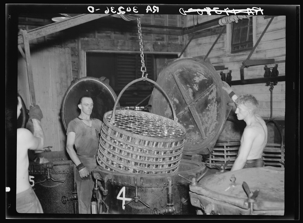 Lowering baskets full of cans into cooking kettles. Cans of peas are steam pressure-cooked for twenty or thirty minutes. Sun…
