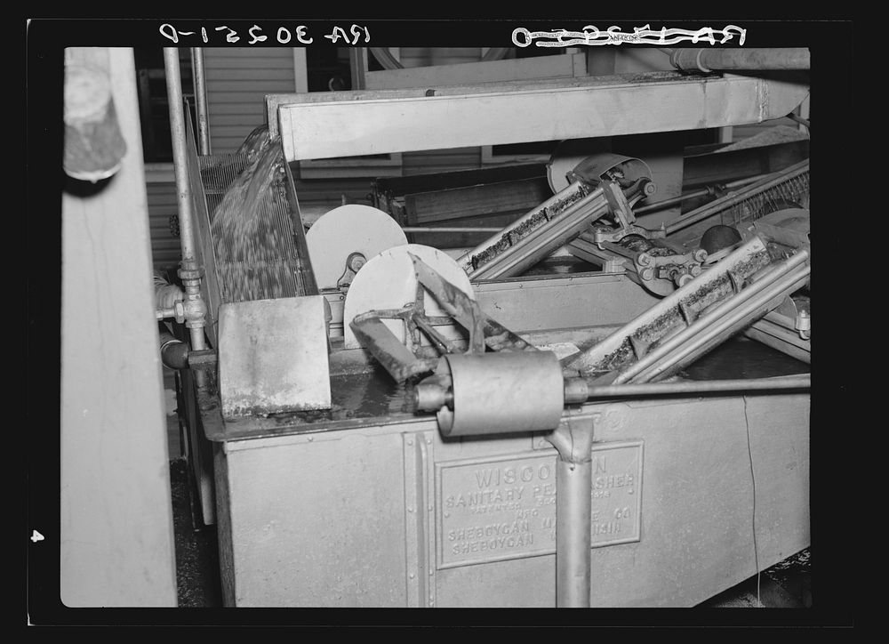 Peas are washed in this machine at the canning factory. Sun Prairie, Wisconsin by Russell Lee