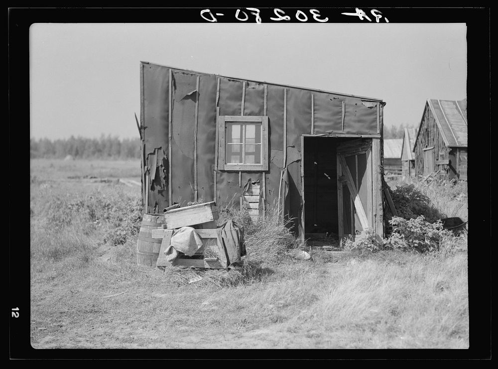 Tarpaper dwelling occupied by person living in abandoned lumber camp. Gemmel, Minnesota by Russell Lee