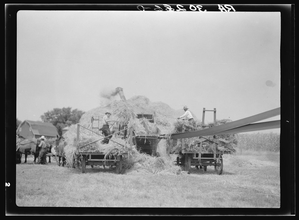 [Untitled photo, possibly related to: Threshing operations near Kewanee, Illinois] by Russell Lee