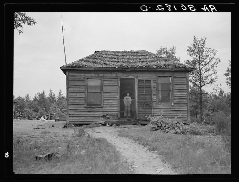 Home of the Earl Taylor family near Black River Falls, Wisconsin by Russell Lee