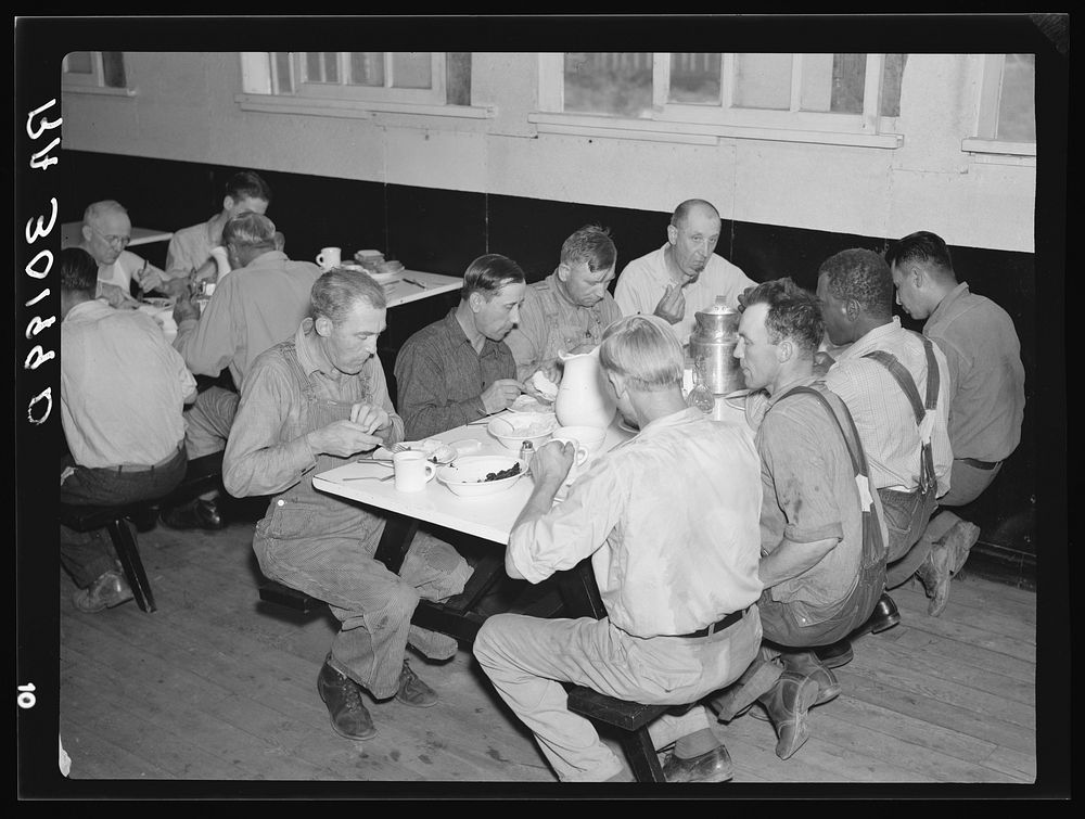 Workers eating lunch at the RA (Resettlement Administration) land use project. Black River Falls, Wisconsin by Russell Lee