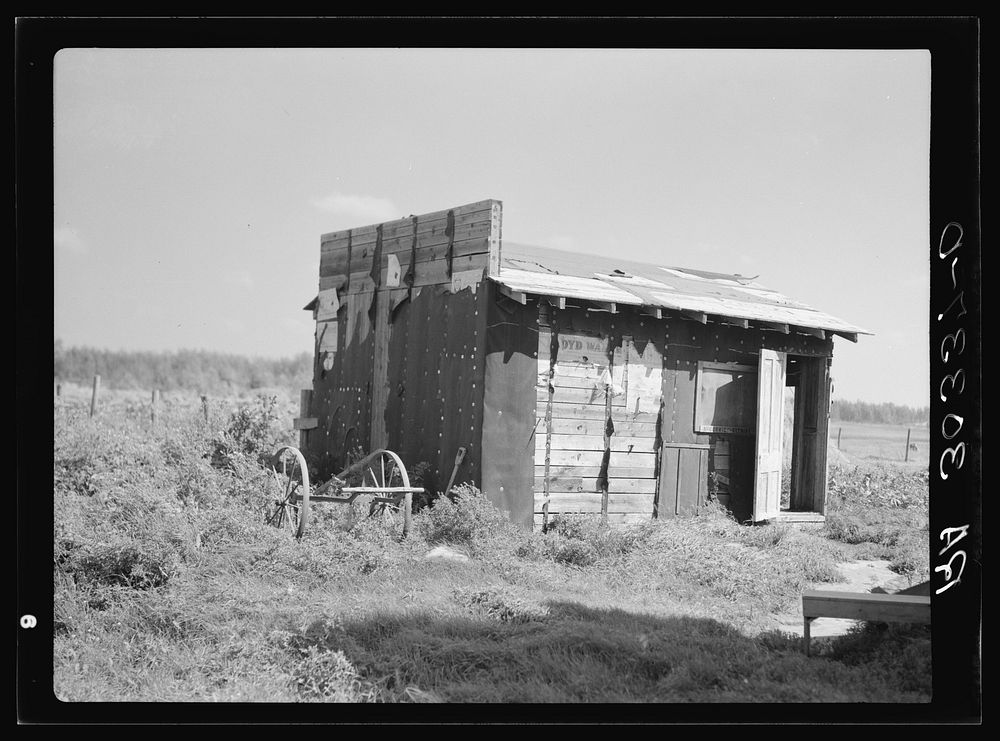 Tarpaper shed in Gemmel, Minnesota by Russell Lee