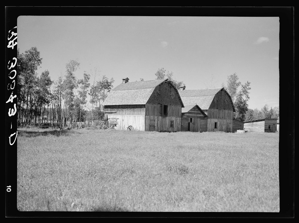 Barns on farm in cut-over areas near Ericsburg, Minnesota by Russell Lee