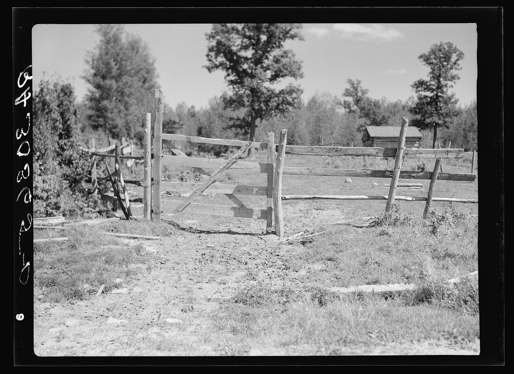 Fence and gate. Ericsburg, Minnesota by Russell Lee