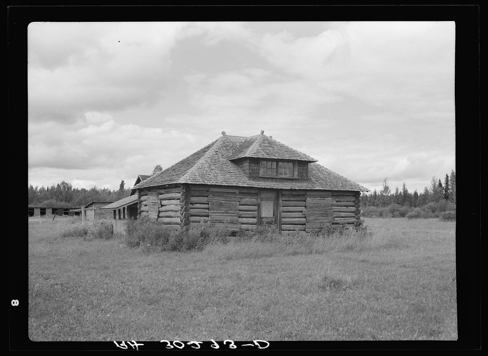 [Untitled photo, possibly related to: Abandoned log cabin near Gheen, Minnesota] by Russell Lee
