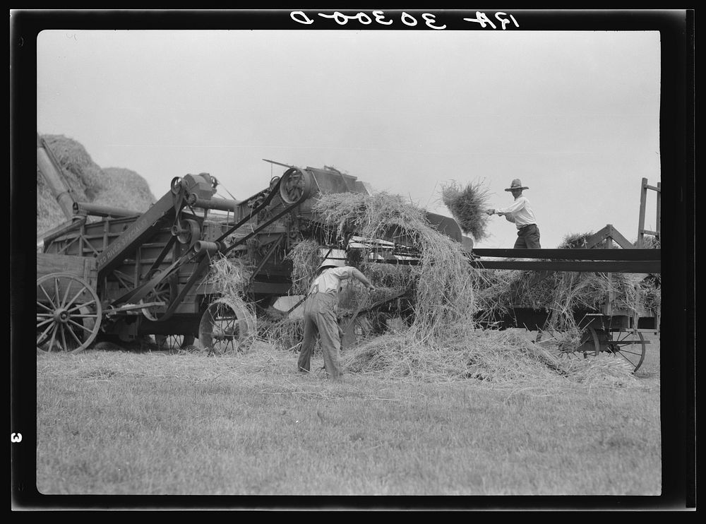 Threshing operations near Kewanee, Illinois by Russell Lee