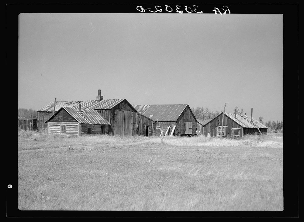 [Untitled photo, possibly related to: Building in abandoned lumber camp. Gemmel, Minnesota] by Russell Lee