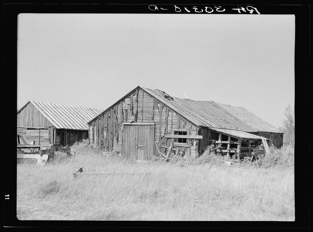 Buildings in abandoned lumber camp near Gemmel, Minnesota by Russell Lee