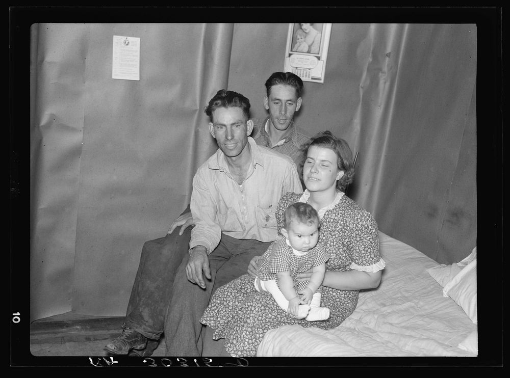 Family and brother-in-law living in tarpaper shack in abandoned lumbercamp. Gemmel, Minnesota by Russell Lee