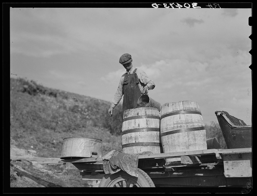 Herman Gerling filling barrels with water from spring, both for stock and home use. This spring also supplies other families…