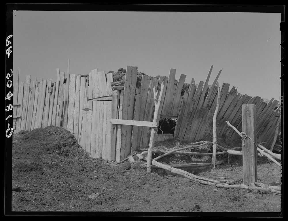 Barn on E. Gorder's farm. Williams County, North Dakota by Russell Lee