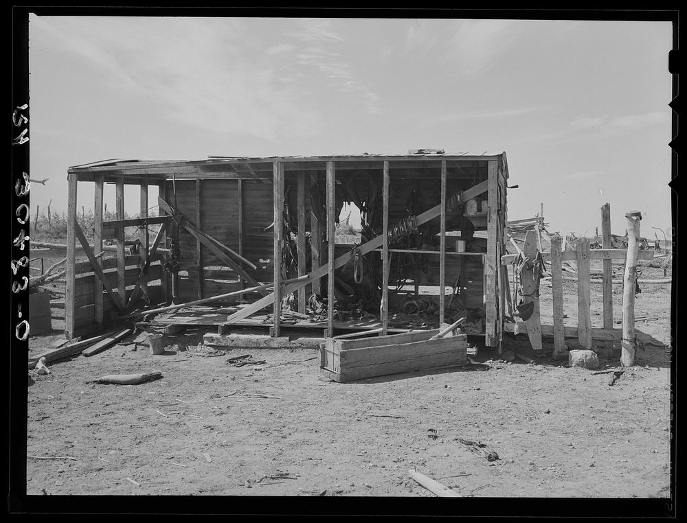 Harness shed on farm of E. Gorder. Williams County, North Dakota by Russell Lee
