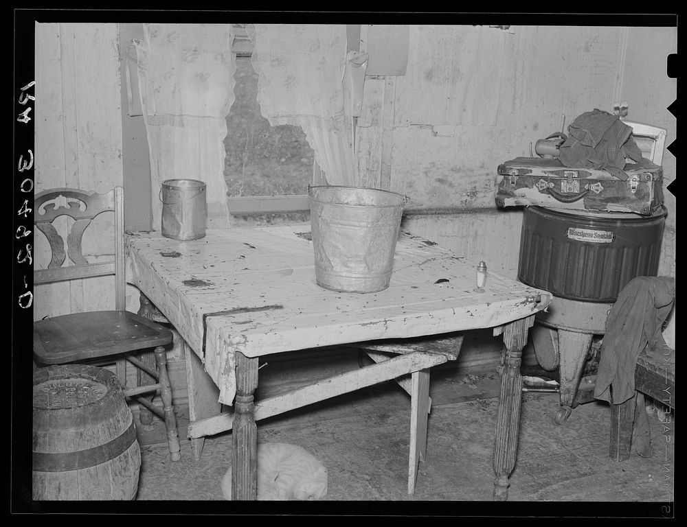 Kitchen in farmhouse of James Stronk. Williams County, North Dakota by Russell Lee