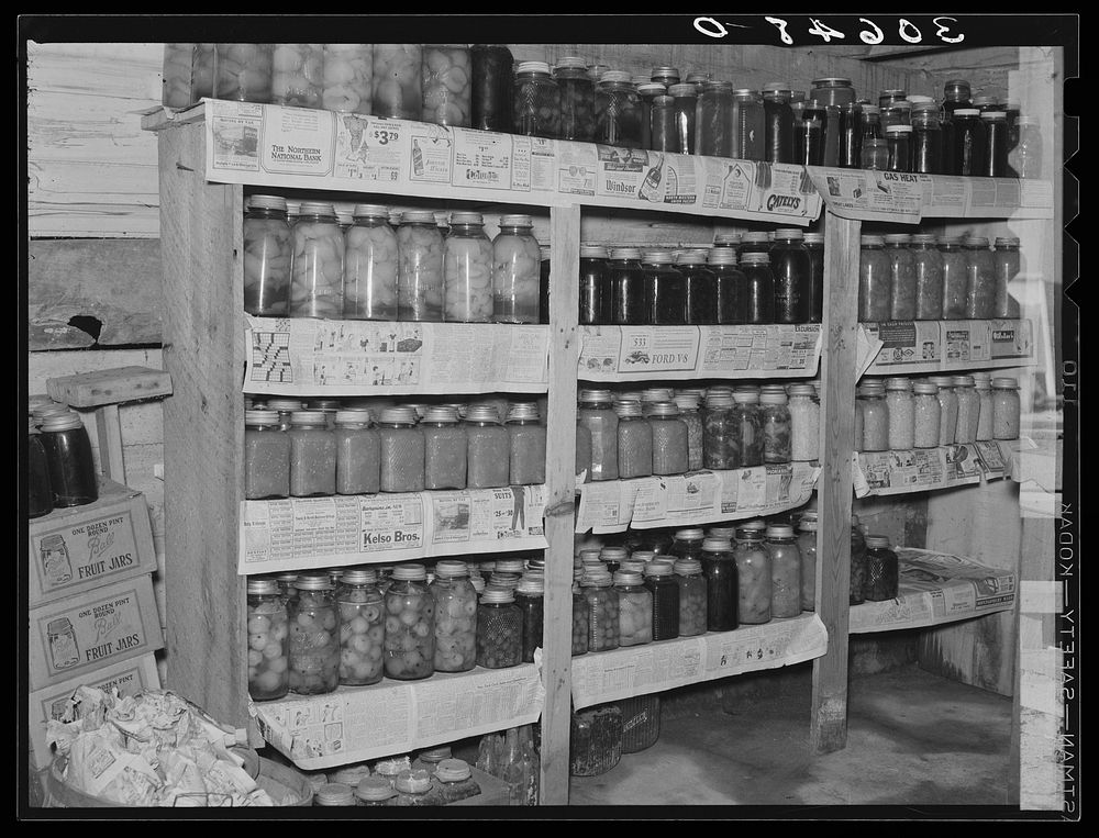 Canned fruits and vegetables in Edward Chapman's cellar. Northome, Minnesota by Russell Lee