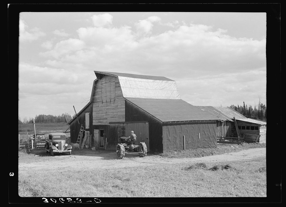 Barn on J. W. Panchot's farm near Northome, Minnesota by Russell Lee