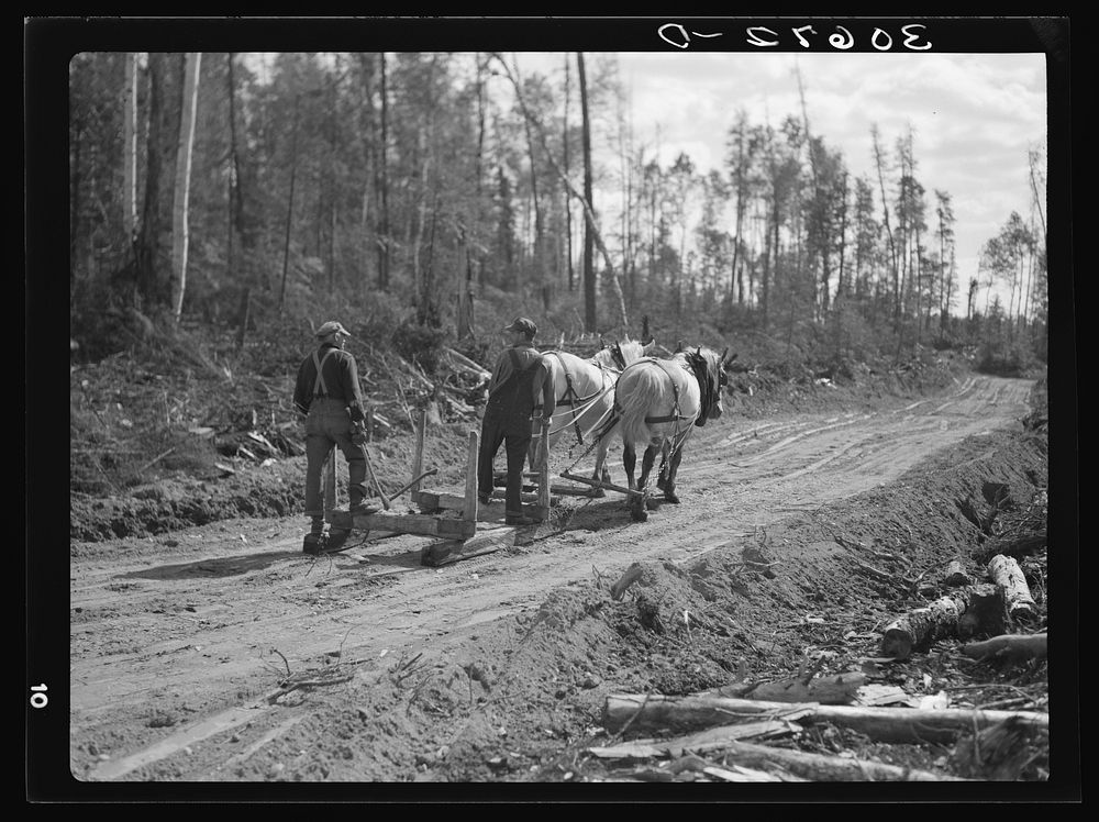 Going into the woods for another load. Logging camp near Effie, Minnesota by Russell Lee