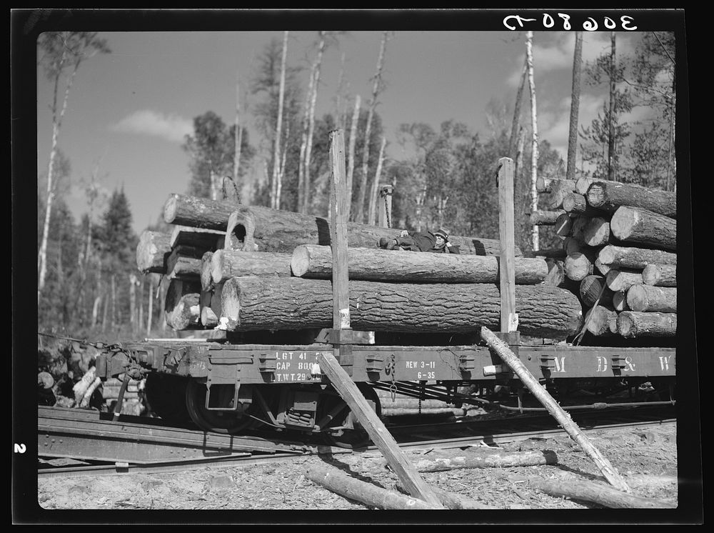 Partially-loaded car of lumber near Effie, Minnesota by Russell Lee
