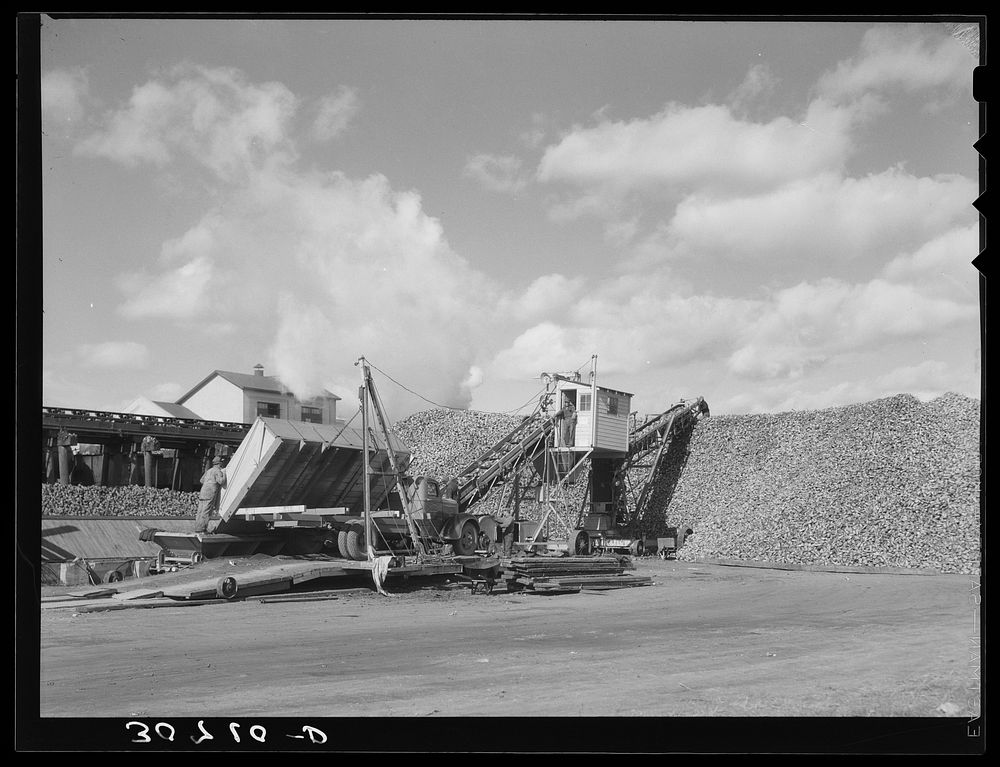Beet unloading and piling machine. East Grand Forks, Minnesota by Russell Lee