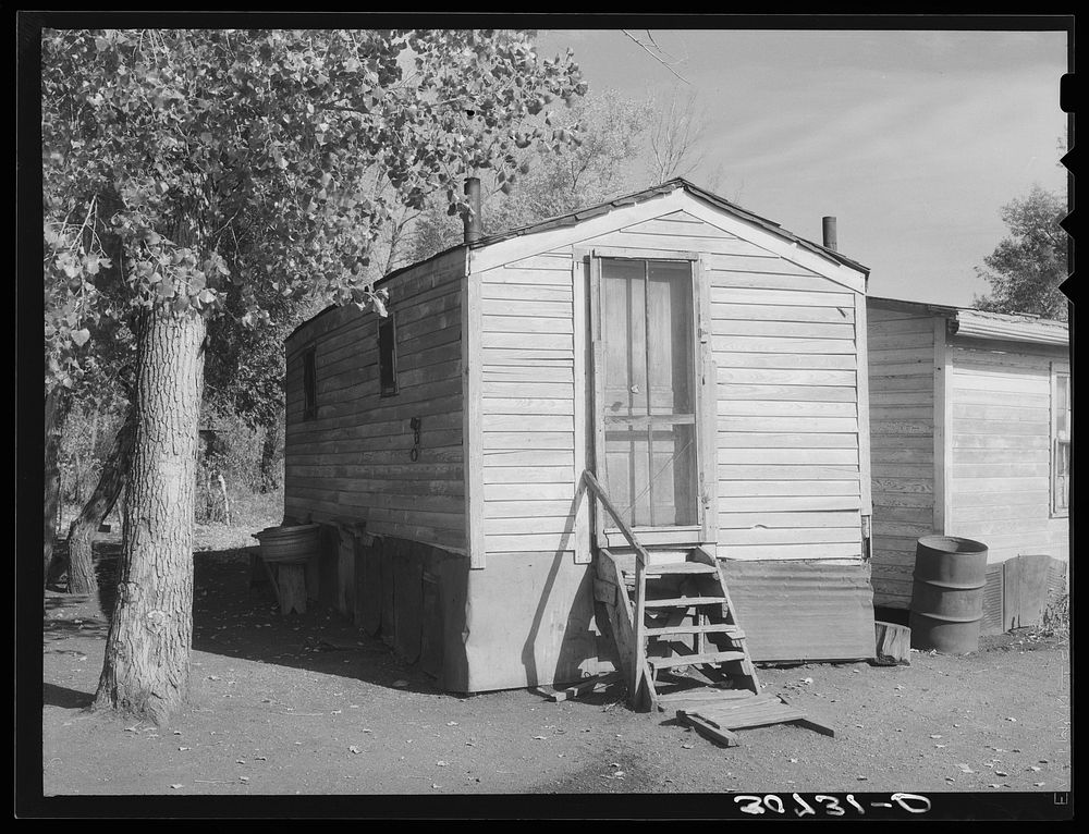 Shack occupied by transient sugar beet workers near Fisher, Minnesota by Russell Lee