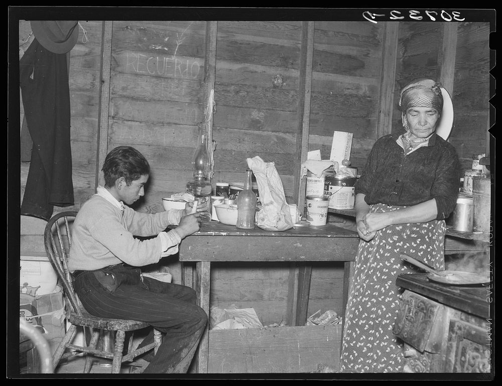Mother and son in combined, kitchen, living room and bedroom, beet workers near Fisher, Minnesota by Russell Lee