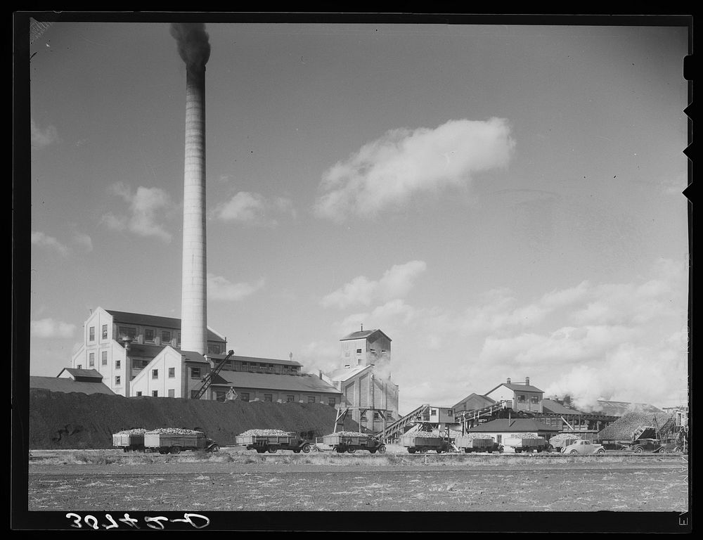 Sugar beet factory with trucks lined up waiting to be unloaded. East Grand Forks, Minnesota by Russell Lee