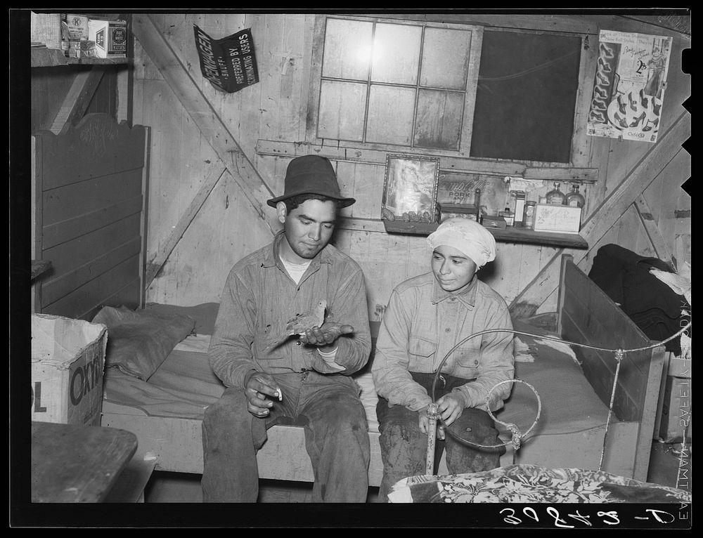Newly-married Mexican couple, beet workers near Crookston, Minnesota by Russell Lee