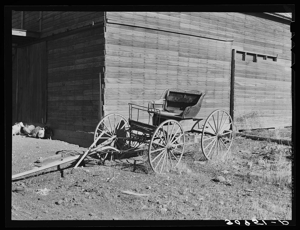 Buckboard (democrat wagon) on farm of Mr. Bertelson. Sheridan County, Montana by Russell Lee