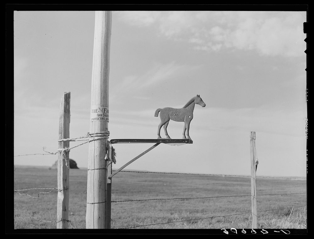 Old weathervane on farm south of Crosby, North Dakota by Russell Lee