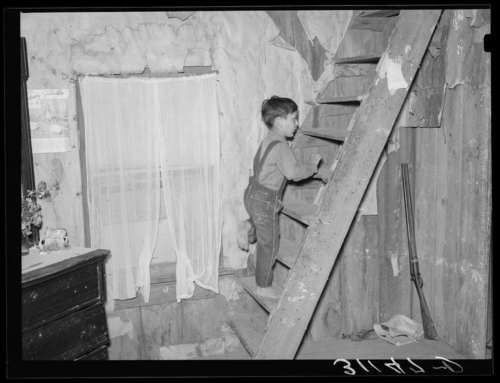 Southeast Missouri Farms. Sharecropper's son climbing stairs to attic bedroom in shack near La Forge project, Missouri by…