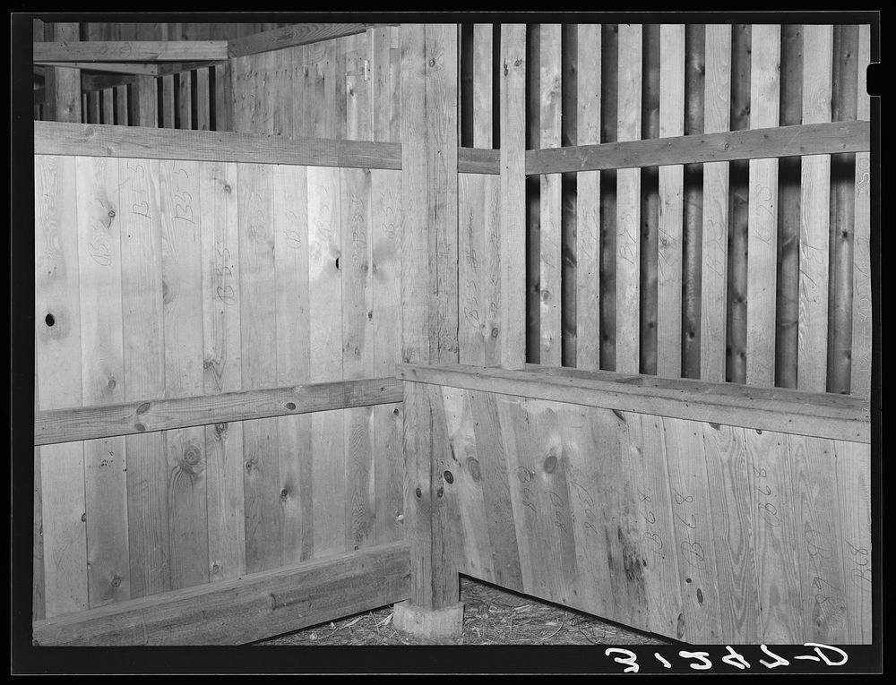 Interior of barn stall for mules. Southeast Missouri Farms by Russell Lee