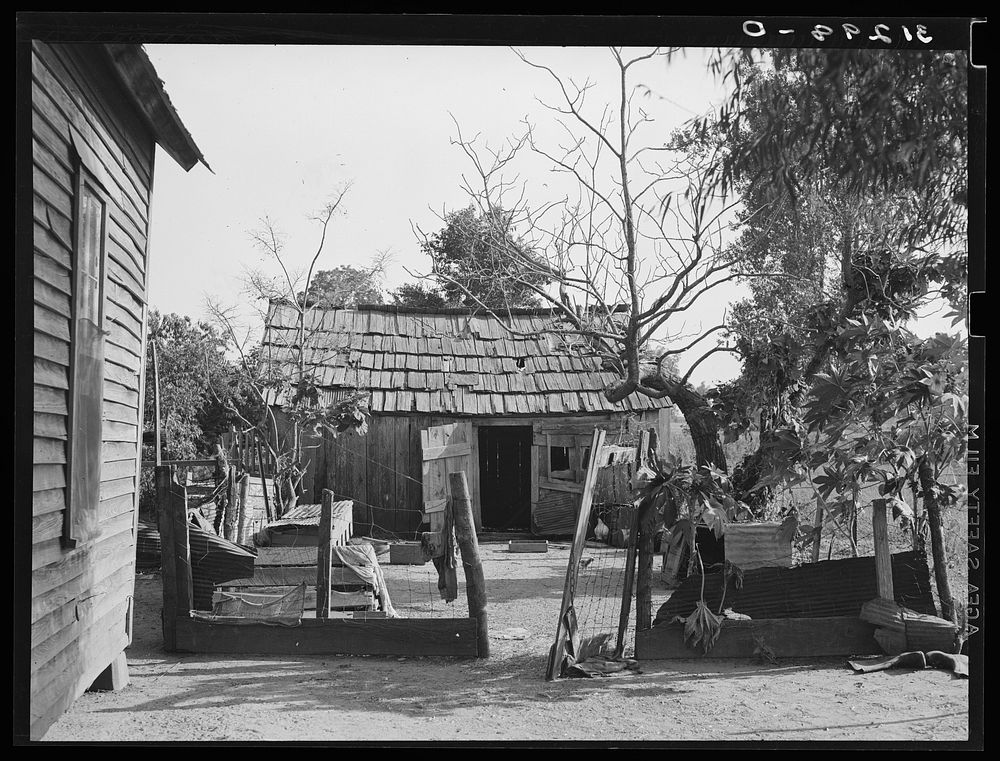 Backyard of sharecropper's home. He will participate under tenant purchase program. Near Caruthersville, Missouri by Russell…