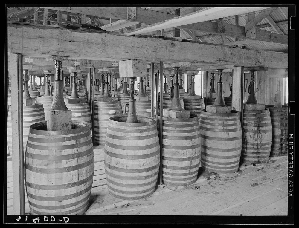 [Untitled photo, possibly related to: Barrels of perique tobacco during process of aging. Perique tobacco is raised in one…