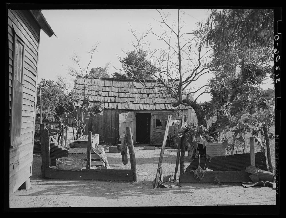 [Untitled photo, possibly related to: Backyard of sharecropper's home. He will participate under tenant purchase program.…