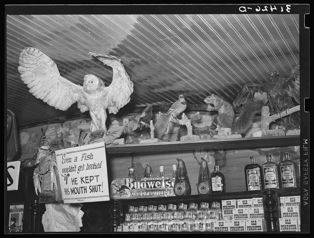 Stuffed birds and animals in barroom. Raceland, Louisiana by Russell Lee