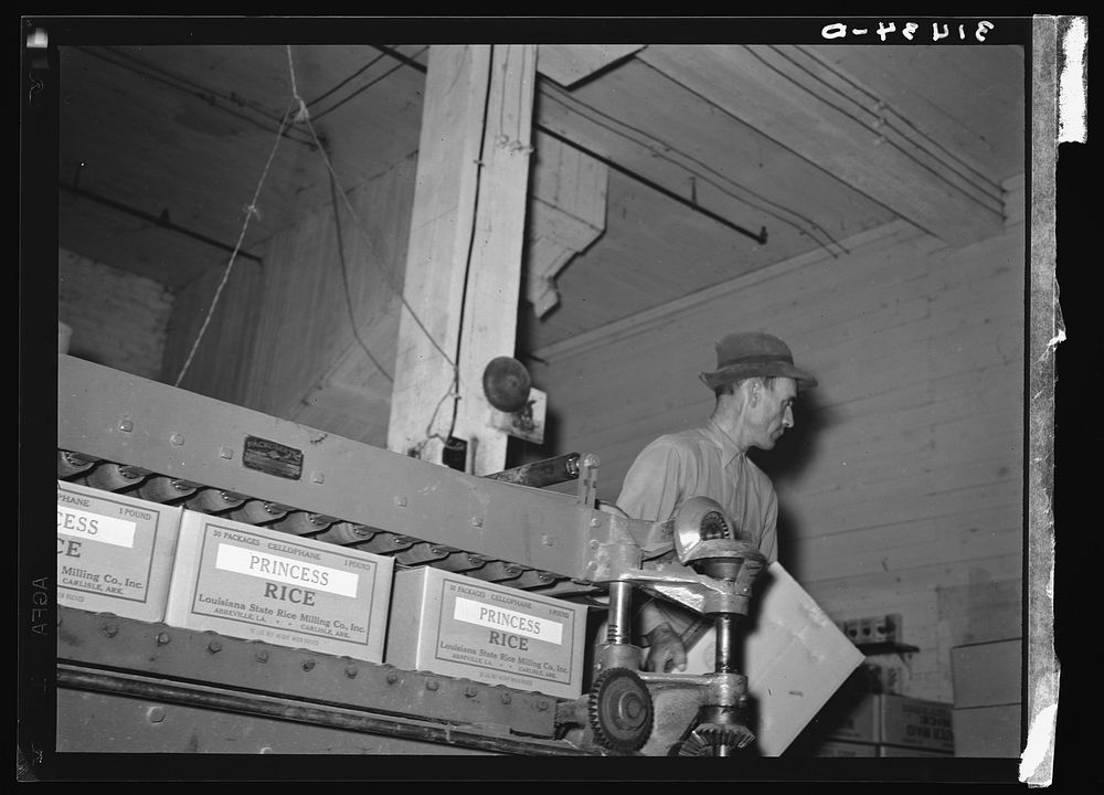 Removing finished cartons of packaged rice from conveyer-presser. State rice mill, Abbeville, Louisiana by Russell Lee