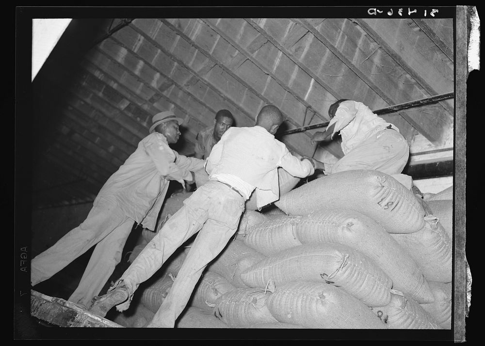 Stacking sacks of rice in warehouse. Abbeville, Louisiana by Russell Lee