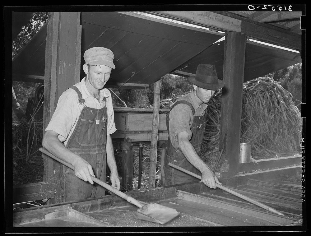 [Untitled photo, possibly related to: Cooperative farmer at sorghum mill. Lake Dick Project, Arkansas] by Russell Lee