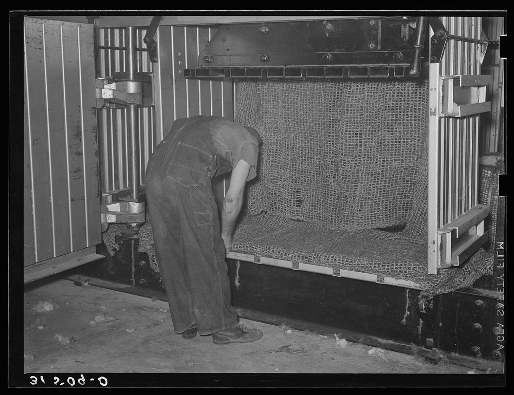 Placing burlap wrappings in compressor. Lake Dick Project, Arkansas by Russell Lee